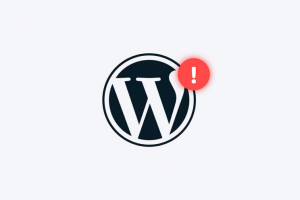 [Wordpres] Cara Menghilangkan Skip to Content Di WordPress